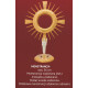 Gold plated monstrance height 36 cm (18)