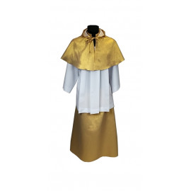Golden altar boy costume