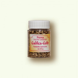 Incense of Galilee Gold - 20 g