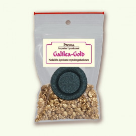 Galilee Gold - one-time package