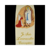 Embroidered chasuble Our Lady of Lourdes (02) - Image 2