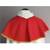 Altar server cloak/altar hood liturgical colors - Image 1