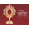 Gold plated monstrance height 31 cm (21) - Image 2
