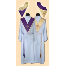 Two-color lecturer (with embroidery) purple-gold