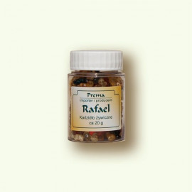 Incense Rafael - 20 g