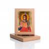 Saint Martin icon - Image 2